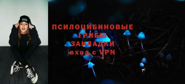 mdpv Заводоуковск