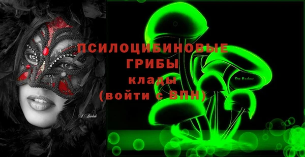 mdpv Заводоуковск