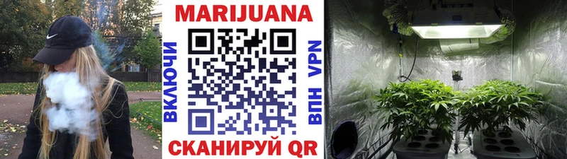 Каннабис MAZAR Мглин